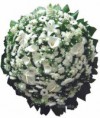 Coroa de flores R$ 600,00  | Cod. 10